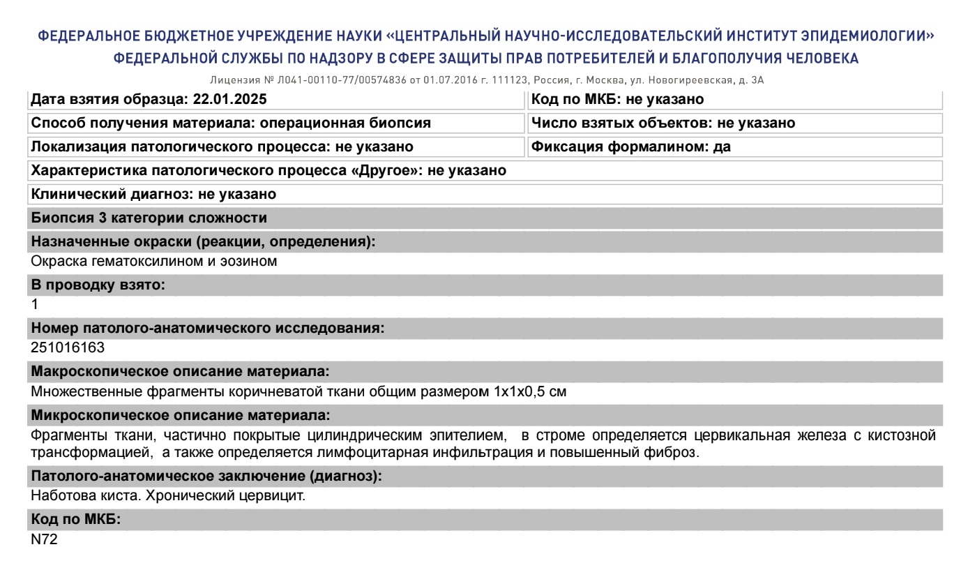 Заключение гистологии Заключение гистологии